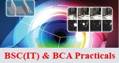 BSC(IT) &amp; BCA Practicals
